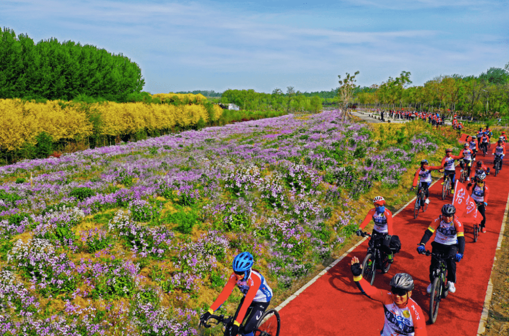 Tongzhou District Launches 10 Scenic Riverside Cycling Routes