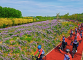 Tongzhou District Launches 10 Scenic Riverside Cycling Routes