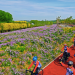 Tongzhou District Launches 10 Scenic Riverside Cycling Routes
