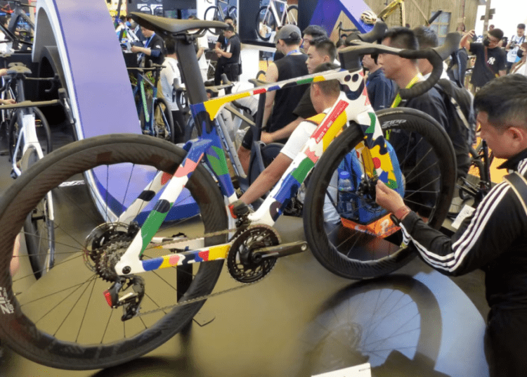China Cycle 2024: Market Recovery, Industry Transformation, and TikTok Emerges as New Sales Channel