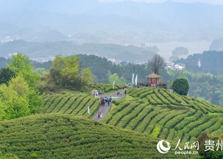 Cycling Through Karst Dreams: Guangxi’s Two-Wheeled Paradise