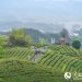 Cycling in Guiyang: Two Wheels, Endless Adventures