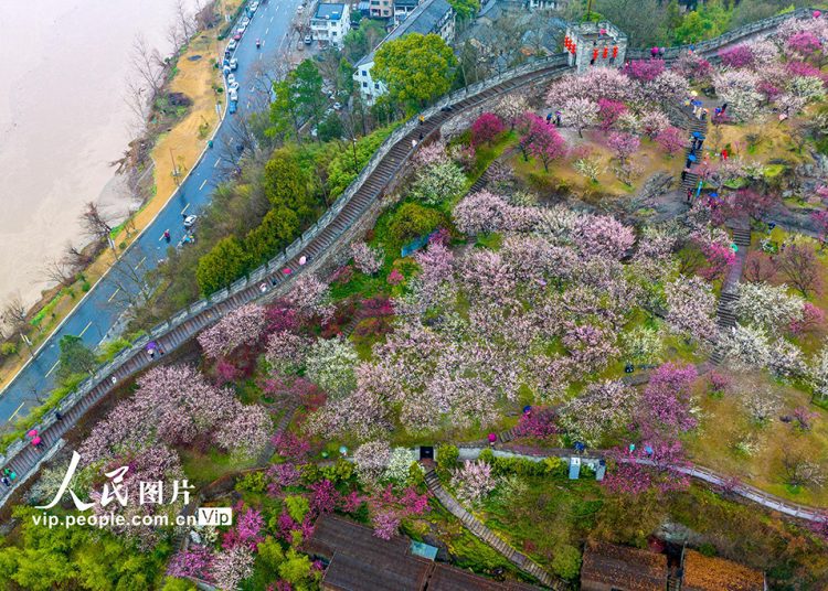 Zhejiang on Two Wheels: 12 Unforgettable Cycling Routes