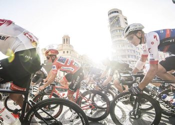 The Cyclist’s Muscle Guide: Key Muscle Groups and How to Strengthen Them