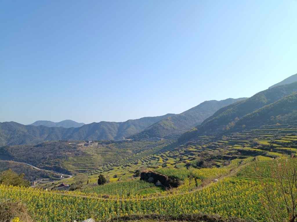 A Cyclist’s Diary: 4 Days Chasing Blooms in Siming & Fuzhi Mountains