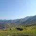 A Cyclist’s Diary: 4 Days Chasing Blooms in Siming & Fuzhi Mountains