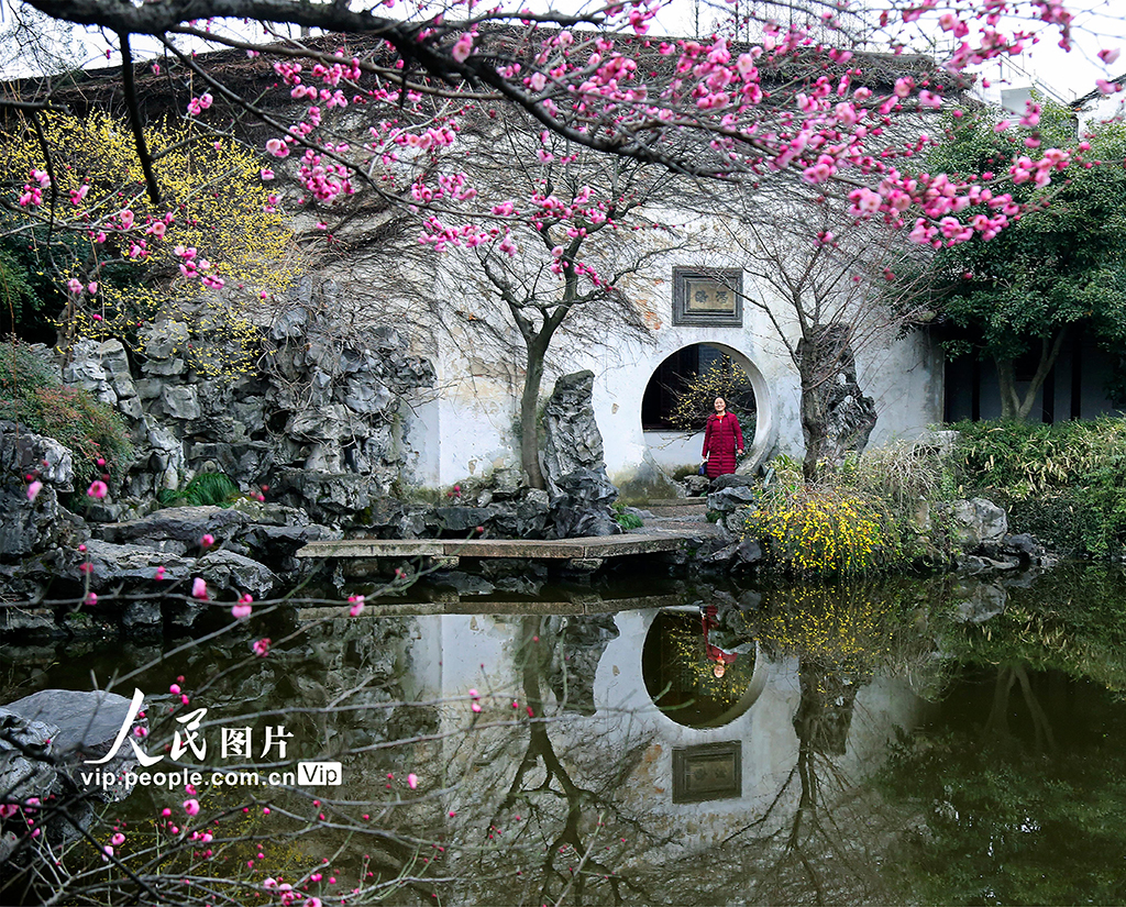 Suzhou on Two Wheels: A Morning Ride Through Gardens and Alleyways