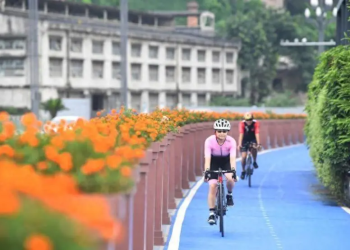 Think Your Knees Hate Exercise? Think Again! Why Cycling is a Doctor’s Best Friend