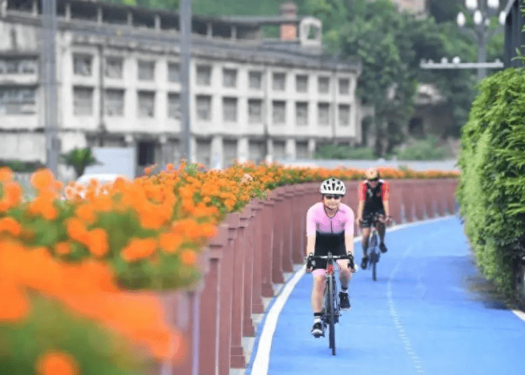 Think Your Knees Hate Exercise? Think Again! Why Cycling is a Doctor’s Best Friend