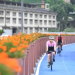Think Your Knees Hate Exercise? Think Again! Why Cycling is a Doctor’s Best Friend