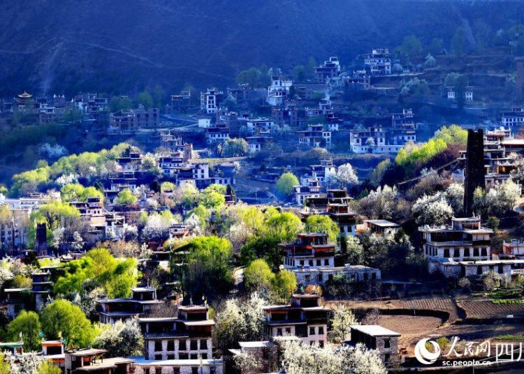 Spring Blooms & Bike Routes: Your Guide to Sichuan’s Most Scenic Rides