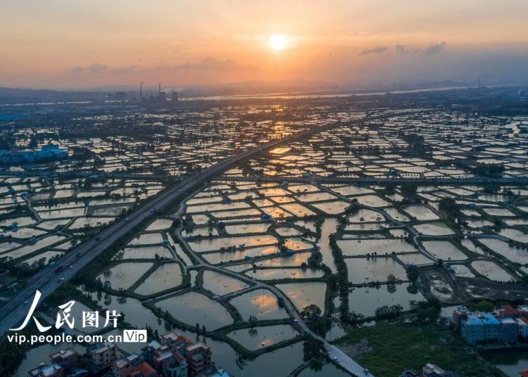 Sichuan in Bloom: A Cyclist’s Guide to Spring’s Most Colorful Rides