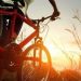 Is the Bike Industry Finally Bouncing Back? Here’s the Tea.
