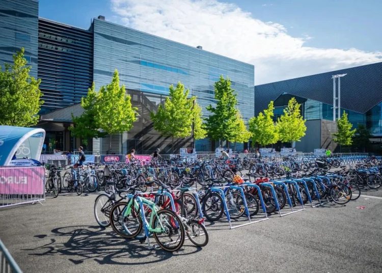 German Bicycle Industry Shows Signs of Steady Growth