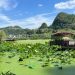 A 100-Kilometer Ride to Qingxu Cave: Raw Nature and Team Spirit