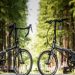 DAHON Archer P18 Ultra vs. Speed P18: A Head-to-Head Test of High-Performance Folding Bikes