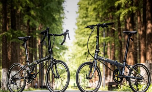 DAHON Archer P18 Ultra vs. Speed P18: A Head-to-Head Test of High-Performance Folding Bikes