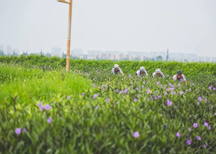 Preview: Chengdu Tianfu Greenway International Cycling Race Set for Thrilling Team Time Trial