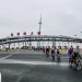 2024 Guangdong-Hong Kong-Macao Road Cycling Race Concluded Successfully