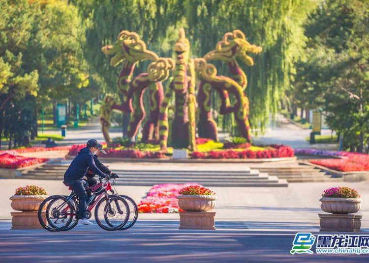 Cycling, Their Poetry and Horizon Within Reach