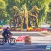 Cycling, Their Poetry and Horizon Within Reach