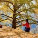 Three Scenic Autumn Cycling Routes for Fall Foliage