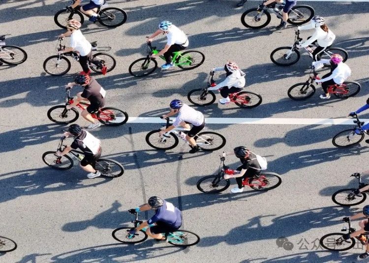 China’s Bicycle Market Shifts Gears: From Basic Transport to Premium Lifestyle