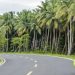 Don’t Just Lie Flat, Ride! A Hainan Island Cycling Journey Awaits