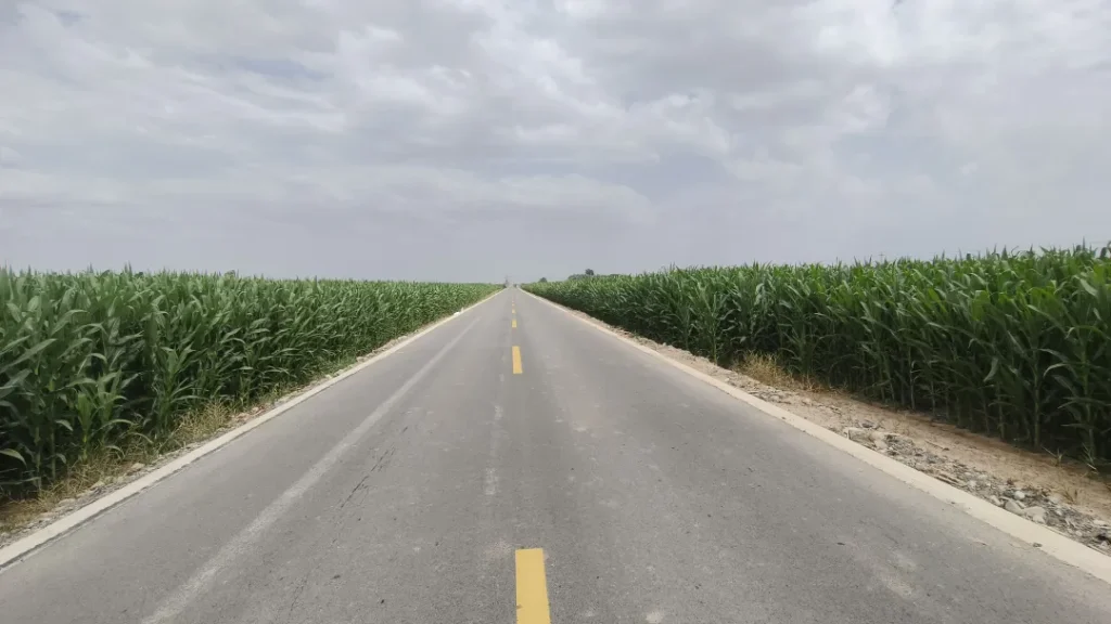 Cycling Notes: Landscapes and Encounters Along the Way