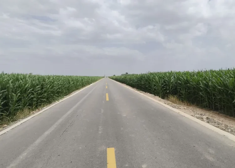 Cycling Notes: Landscapes and Encounters Along the Way