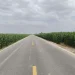 Cycling Notes: Landscapes and Encounters Along the Way