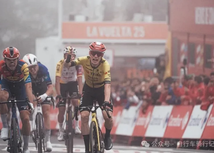 Thieves Target Visma-Lease a Bike Team Truck, Steal 18 Top-Tier Cervélo Bikes Worth £220,000