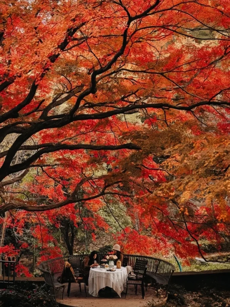 Huzhou Cycling Guide: A Journey Through Autumn’s Splendor