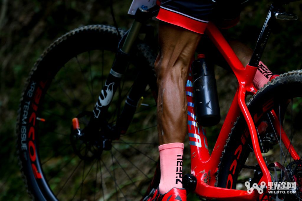 Which Muscles Does Cycling Work? Post-Ride Stretching is Crucial!