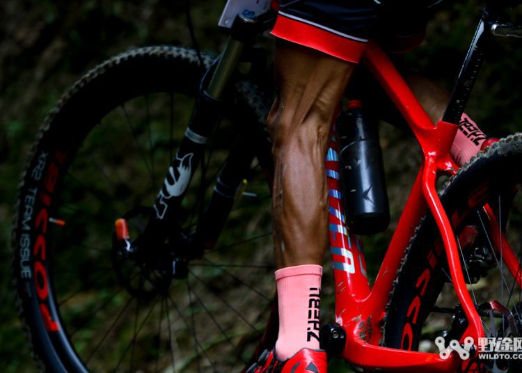 Which Muscles Does Cycling Work? Post-Ride Stretching is Crucial!