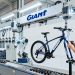 Giant Bicycles Sees 17% Revenue Drop in First Three Quarters 2025